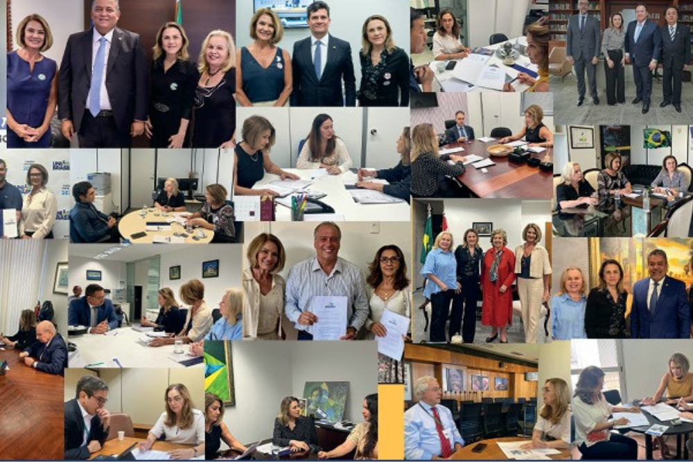 A ANAMPA em seus primeiros 200 dias de ação.